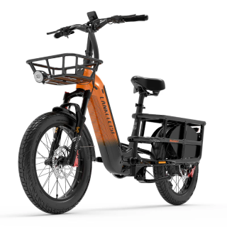 Lankeleisi Wombat-1 : Cargo 1000W - Avis