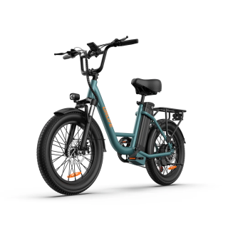 URLIFE E20 Fat Tire 1000W – Recensione