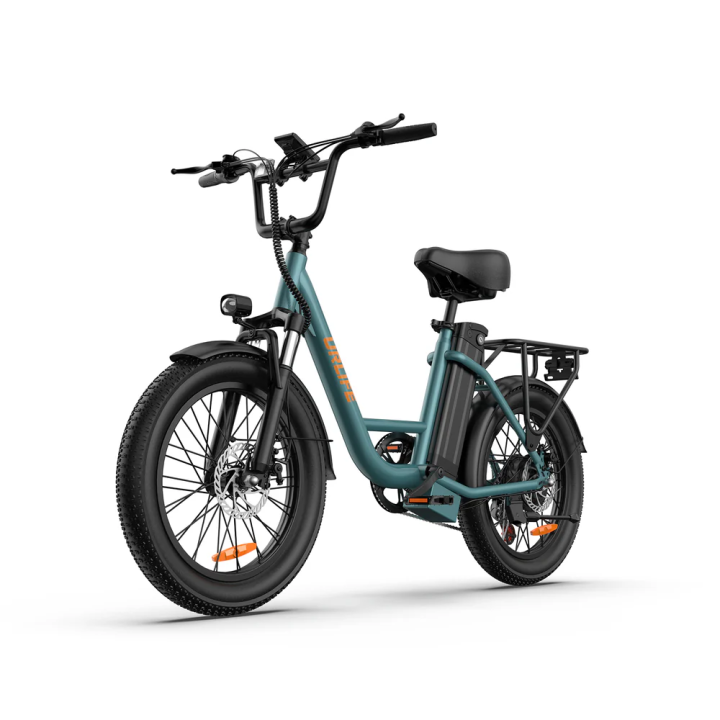 URLIFE E20 Fat Bike 1000W – Apžvalga