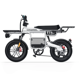 COSWHEEL T16 Urbana Compatta 1000W