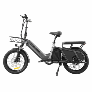 COSWHEEL HQ20 Vélo Cargo Électrique 250W – Avis