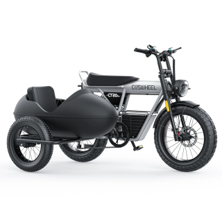 COSWHEEL CT20S Beiwagen Test & Vergleich