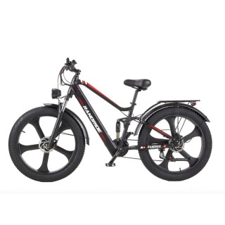 RANDRIDE YX90M Test – E-MTB Fatbike 1000 W