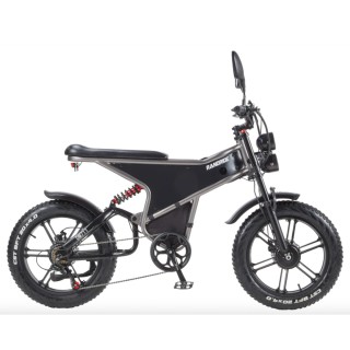 Opinie RANDRIDE DM711 Elektryczny Fat Bike