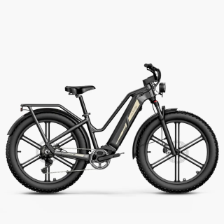 FIIDO Titan Fatbike 250 W – Opiniones