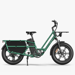 Fiido T2: Bici cargo longtail 998Wh