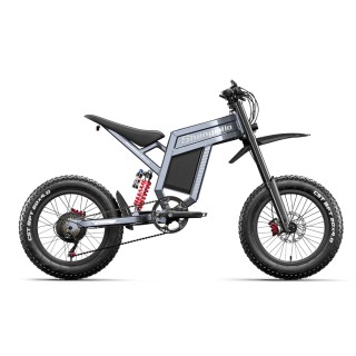 Shengmilo S900: Confronto e miglior prezzo